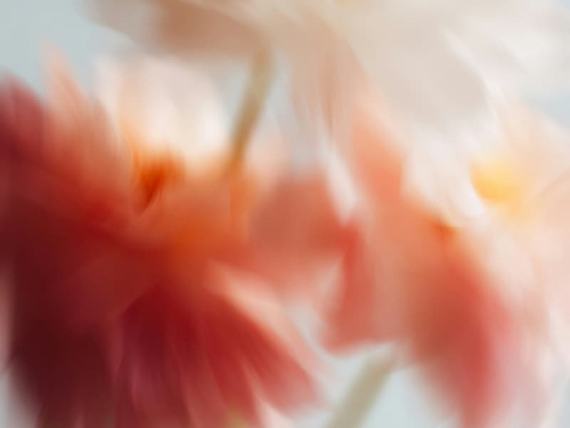 Background window